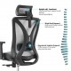 High Back Ergonomic Mesh Office Chair With 2d Headrest & Cloth Hanger: Prima-H