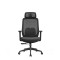 High Back Ergonomic Mesh Office Chair + 2D Headrest : Vela-H