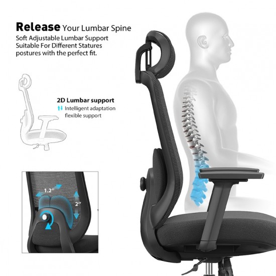 High Back Ergonomic Mesh Office Chair + 2D Headrest : Vela-H