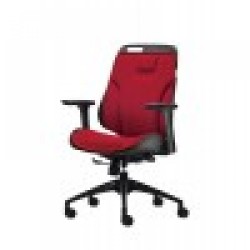Low Back Task Office Chair RX2